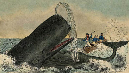 whaling2